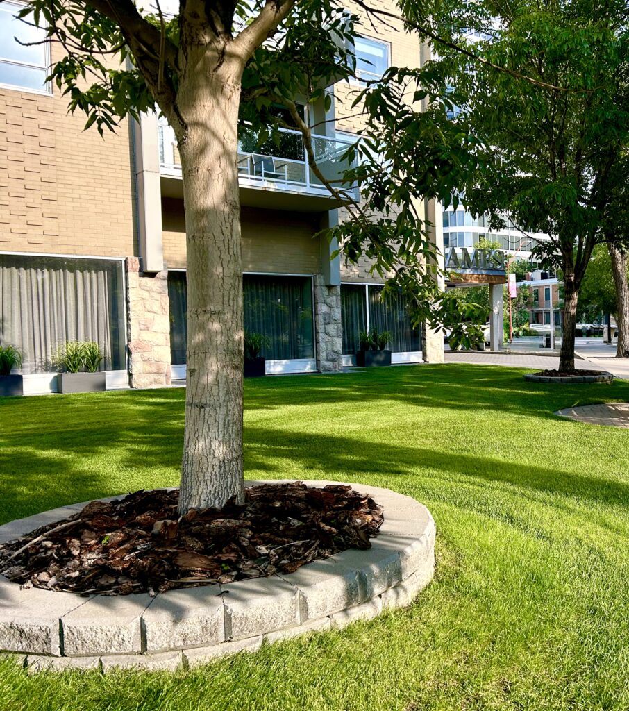 Saskatoon lawn mowing and yard maintenance. Commercial and Residential properties.