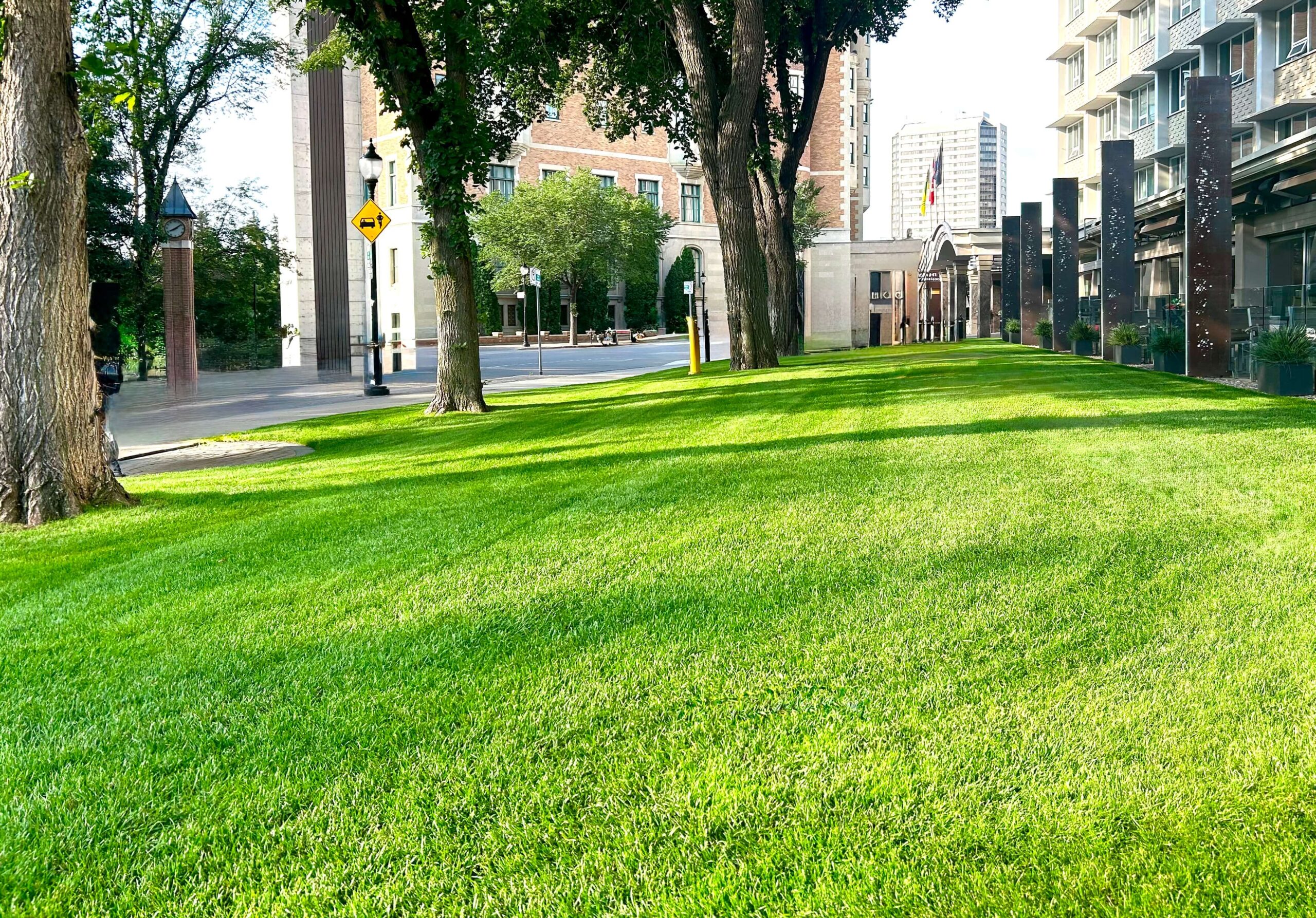 Saskatoon lawn care, landscaping and hauling business.