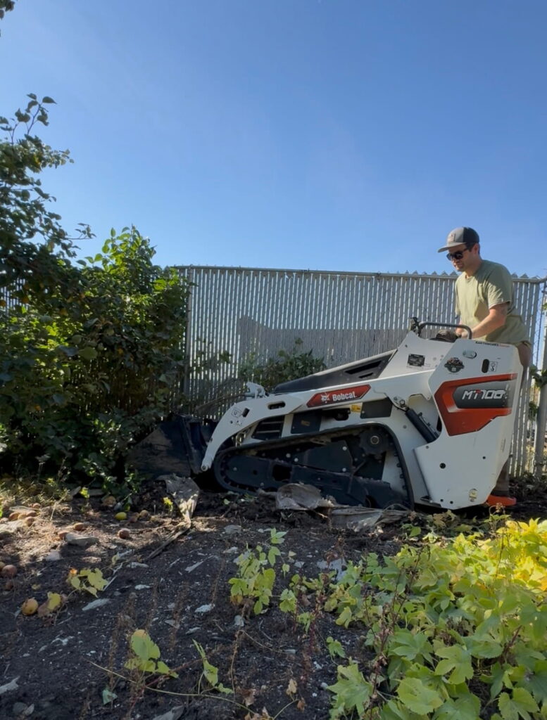 Adam Grant operating a Bobcat MT100 to remove an overgrown lilac shrub in a Saskatoon landscaping job.