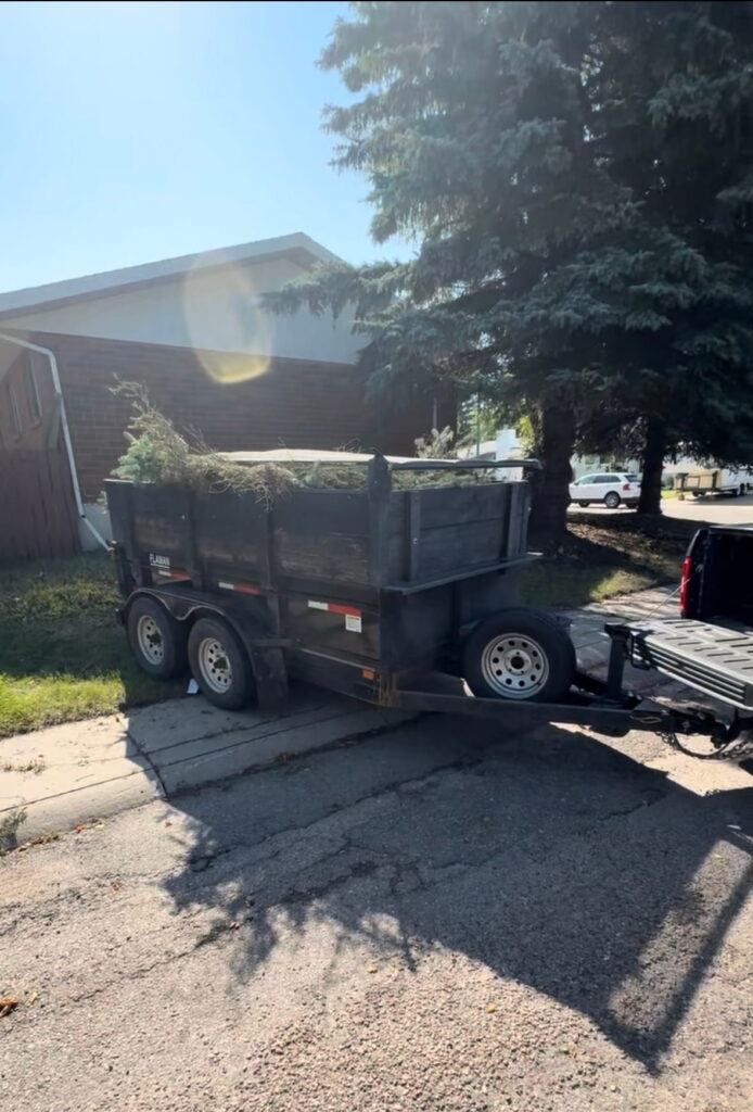 Dump trailer full of yard debris after a Saskatoon landscaping job. This debris will be taken to the compost depot.